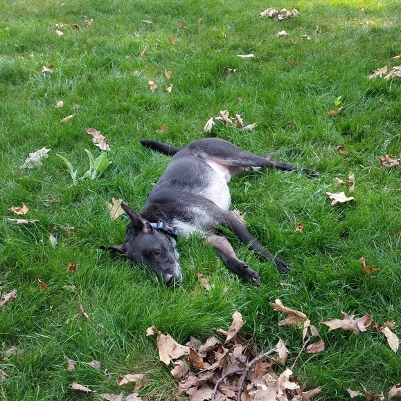 Meet your Posher - Picture 5 of 7